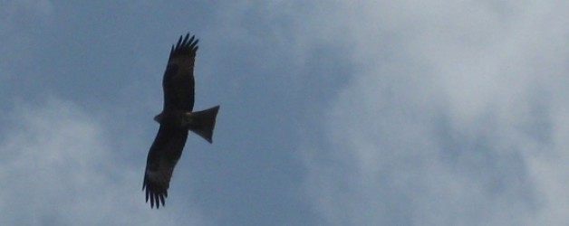 Noch einmal 4 Monate unterwegs sein