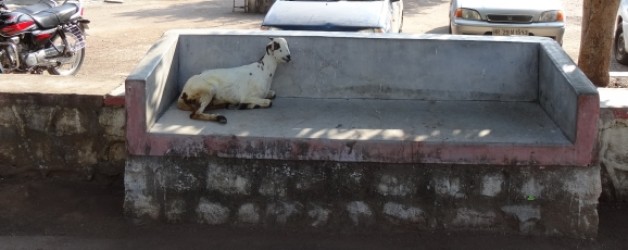 26.9. Immer noch Khajuraho aber bald wieder unterwegs