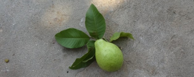 5. – 11. November Alltag weiterLeben